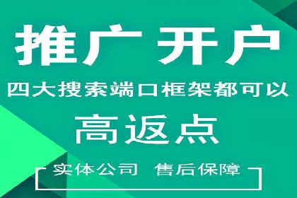 SEO百度推广策略：成功案例解析